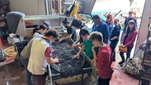 PXL_20250909_vendanges4